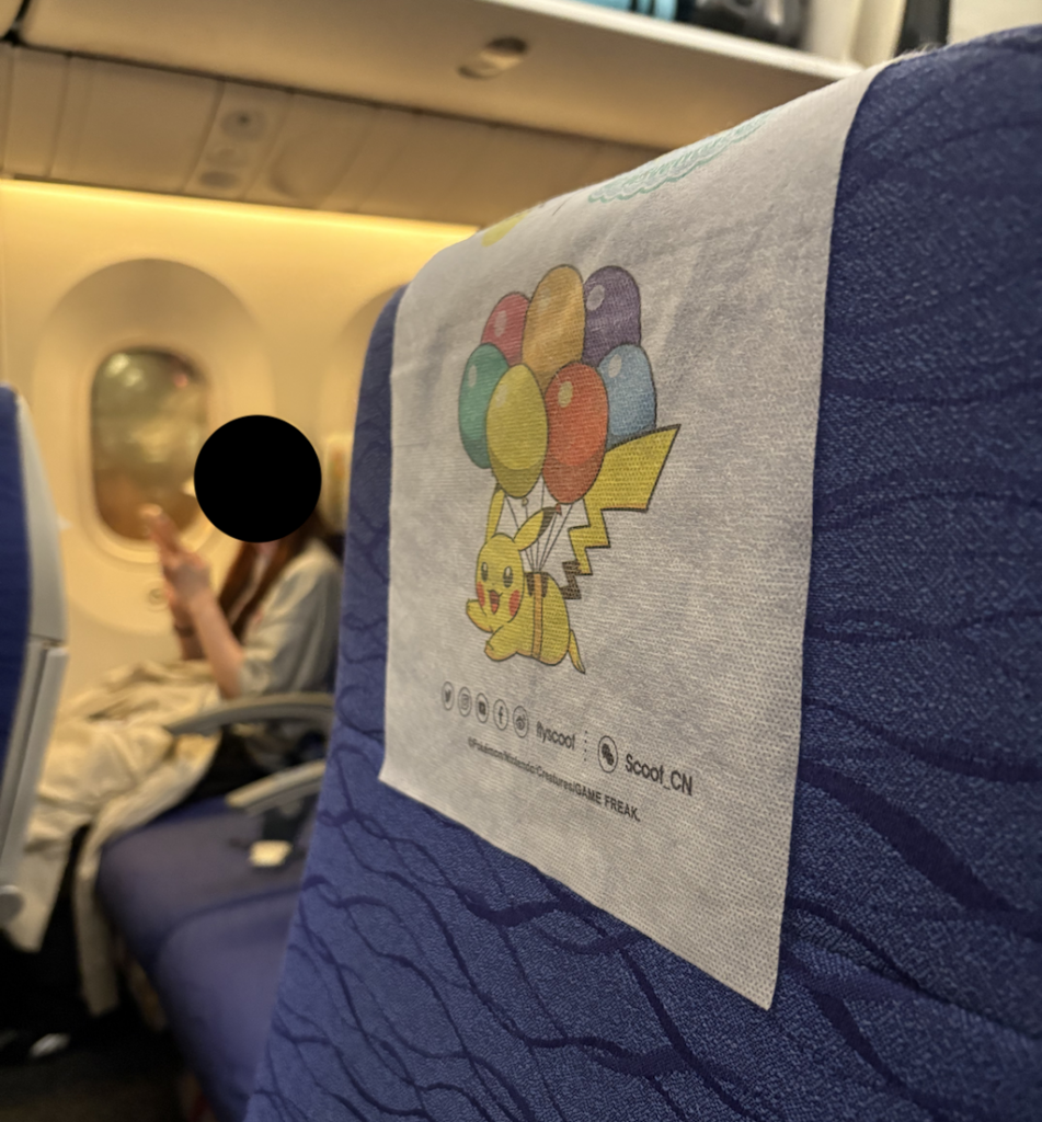 ヘッドレストカバーの写真